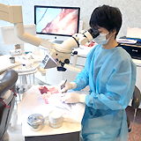 平成27年12月23日 中田光太郎先生microsurgeryハンズオンセミナー