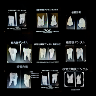 2021年7月4日 RCT・RCFコンテスト