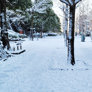 2022年1月7日 朝起きて窓から外を見た。