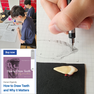2023年6月19日 How to draw teeth and why it matters