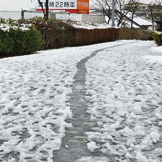 2024年2月6日 3年ぶりの雪かき！