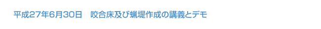 平成27年6月30日　咬合床及び蝋堤作成の講義とデモ