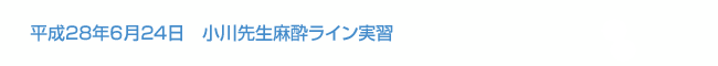 平成28年6月24日　小川先生麻酔ライン実習