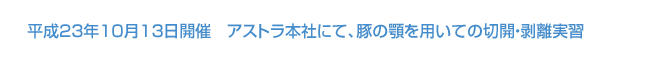 平成23年10月13日開催 アストラ本社豚の顎を用いての切開・剥離実習