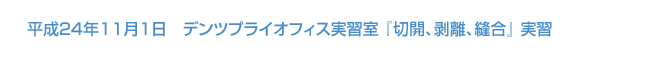 平成24年11月1日開催　デンツプライオフィス実習室 『切開、剥離、縫合』 実習