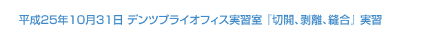 平成25年10月31日 デンツプライオフィス実習室 『切開、剥離、縫合』 実習