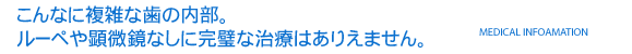 こんなに複雑な歯の内部。ルーペや顕微鏡なしに完璧な治療はありえません。